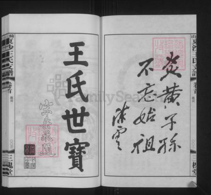江苏省无锡市江阴市澄江街道王氏三槐堂族谱-绮山东沙王氏支谱.pdf电子版插图3