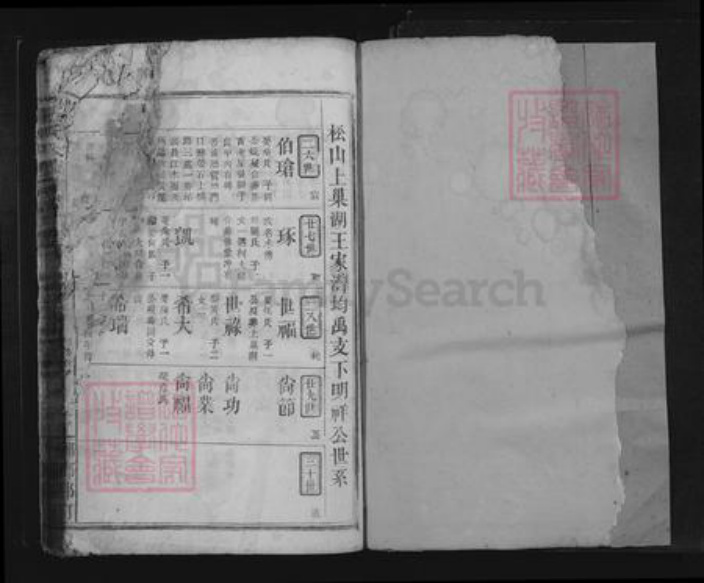 江西省九江市瑞昌市王氏族谱-王氏大成宗谱.pdf电子版插图1