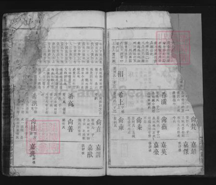 江西省九江市瑞昌市王氏族谱-王氏大成宗谱.pdf电子版插图2