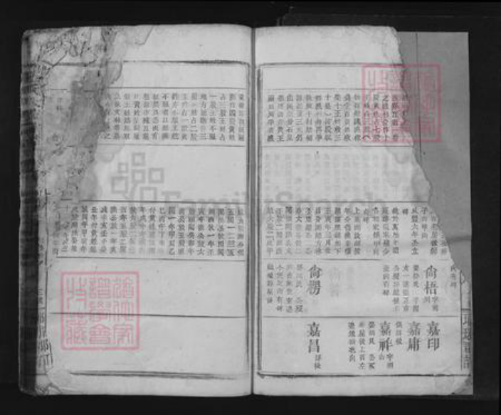 江西省九江市瑞昌市王氏族谱-王氏大成宗谱.pdf电子版插图3