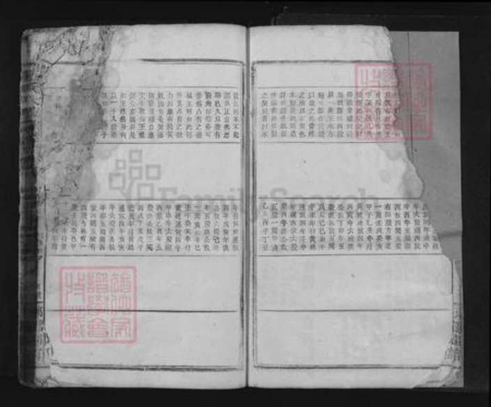 江西省九江市瑞昌市王氏族谱-王氏大成宗谱.pdf电子版插图4