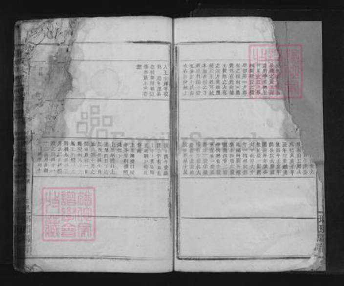 江西省九江市瑞昌市王氏族谱-王氏大成宗谱.pdf电子版插图5