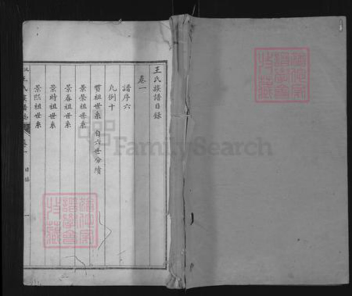 山东省济宁市汶上县次丘镇王氏族谱-汶邑王氏族谱志.pdf电子版插图