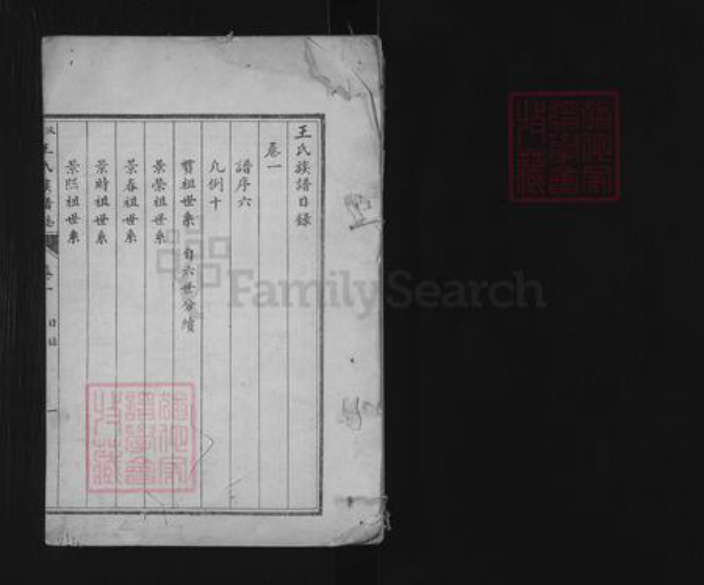 山东省济宁市汶上县次丘镇王氏族谱-汶邑王氏族谱志.pdf电子版插图1