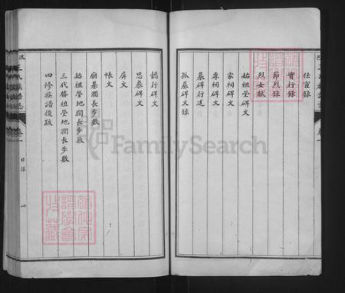 山东省济宁市汶上县次丘镇王氏族谱-汶邑王氏族谱志.pdf电子版插图4