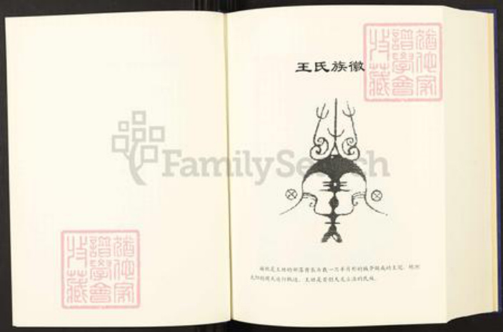 云南省曲靖市师宗县云南省曲靖市师宗县王氏三槐堂族谱-王启高族谱.pdf电子版插图4