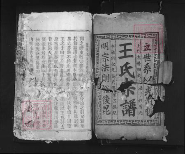 浙江省丽水市青田县仁庄镇王氏族谱-太原王氏宗谱.pdf电子版插图1