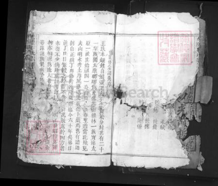 浙江省丽水市青田县仁庄镇王氏族谱-太原王氏宗谱.pdf电子版插图3