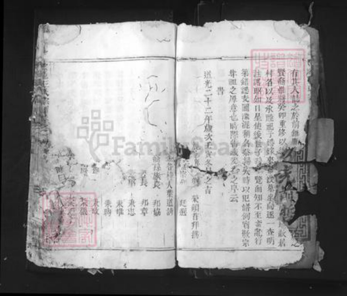 浙江省丽水市青田县仁庄镇王氏族谱-太原王氏宗谱.pdf电子版插图4