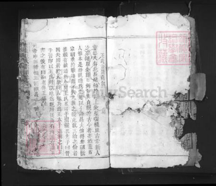 浙江省丽水市青田县仁庄镇王氏族谱-太原王氏宗谱.pdf电子版插图5