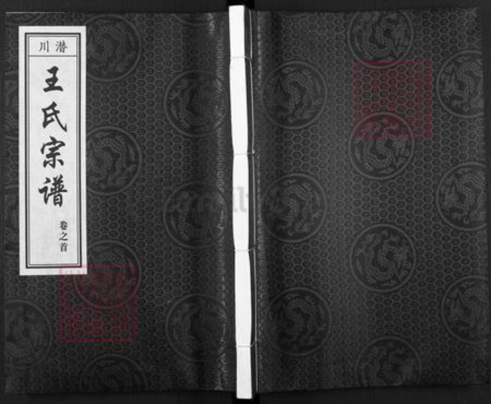 安徽省合肥市包河区王氏积德堂族谱-王氏族宗谱.pdf电子版插图
