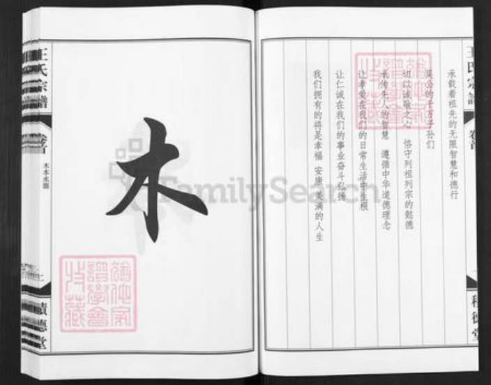 安徽省合肥市包河区王氏积德堂族谱-王氏族宗谱.pdf电子版插图2