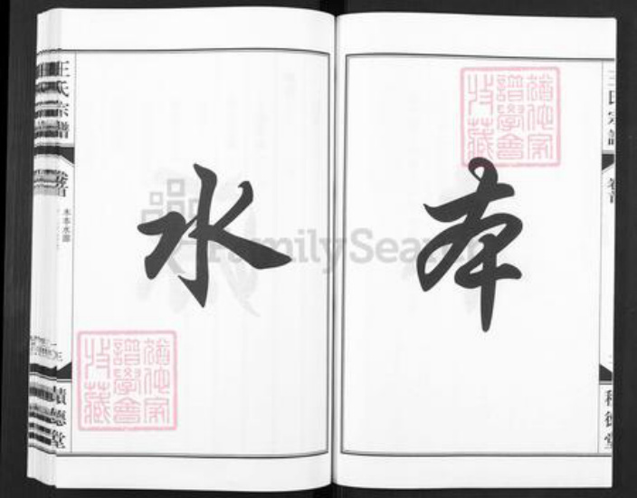 安徽省合肥市包河区王氏积德堂族谱-王氏族宗谱.pdf电子版插图3