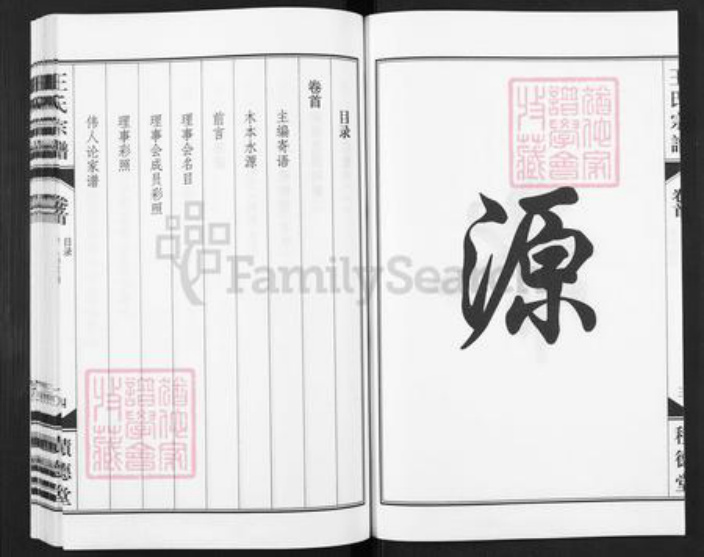 安徽省合肥市包河区王氏积德堂族谱-王氏族宗谱.pdf电子版插图4