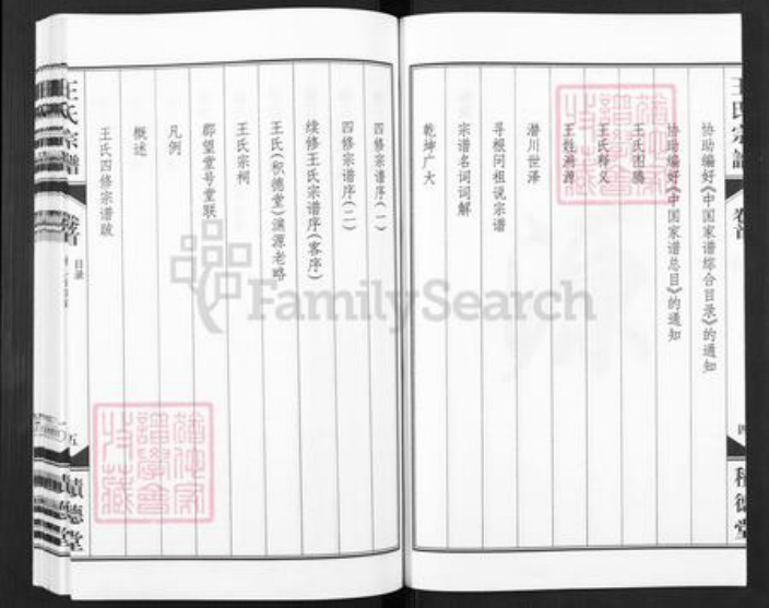 安徽省合肥市包河区王氏积德堂族谱-王氏族宗谱.pdf电子版插图5