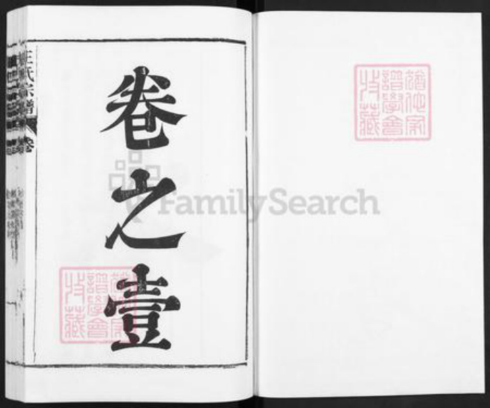 安徽省合肥市庐江县王氏族谱-庐江王氏宗谱.pdf电子版插图1