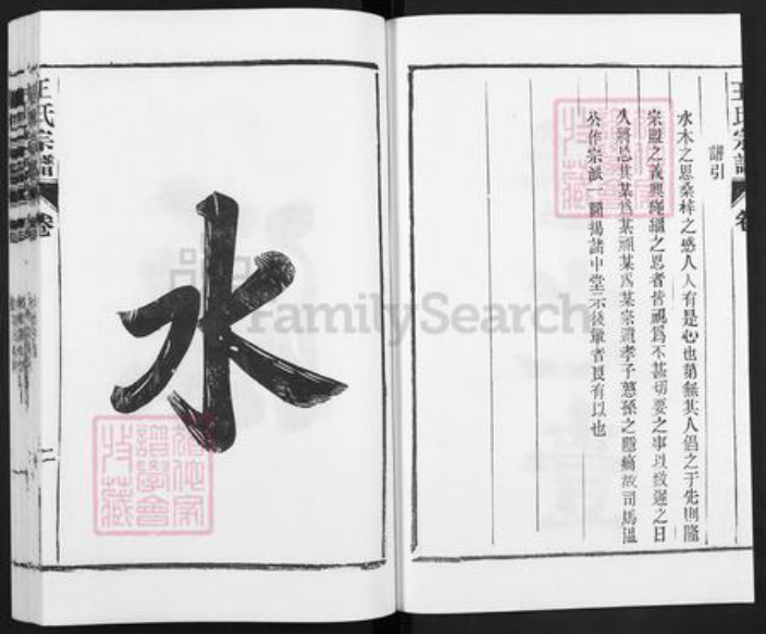 安徽省合肥市庐江县王氏族谱-庐江王氏宗谱.pdf电子版插图2