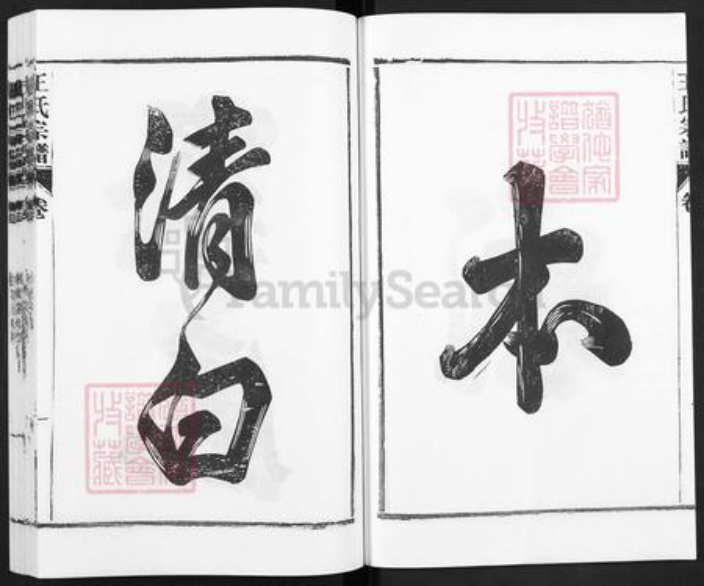 安徽省合肥市庐江县王氏族谱-庐江王氏宗谱.pdf电子版插图4