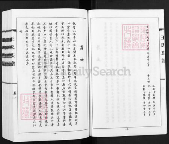 河北省沧州黄骅市黄骅镇王氏族谱-王氏族谱.pdf电子版插图5