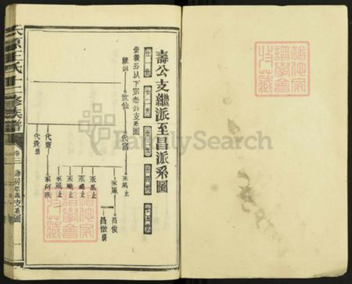 山西省太原市王氏族谱-太原王氏十二修族谱.pdf电子版插图1