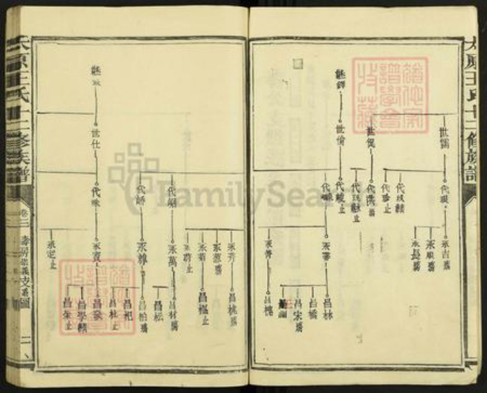 山西省太原市王氏族谱-太原王氏十二修族谱.pdf电子版插图2