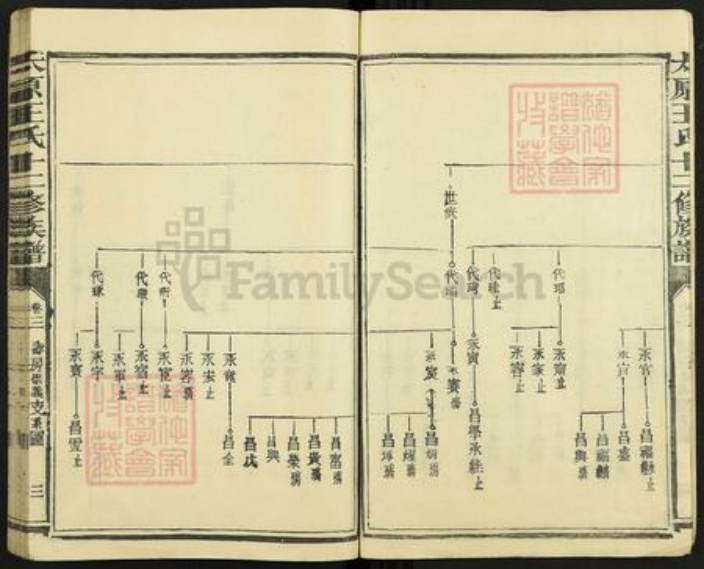 山西省太原市王氏族谱-太原王氏十二修族谱.pdf电子版插图3