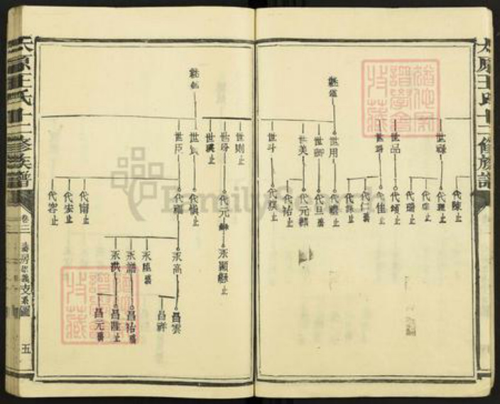 山西省太原市王氏族谱-太原王氏十二修族谱.pdf电子版插图5