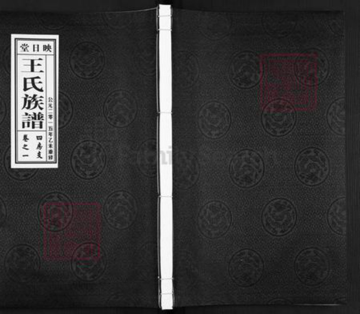 江苏省泰州市泰兴市王氏映日堂族谱-王氏映日堂族谱.pdf电子版插图