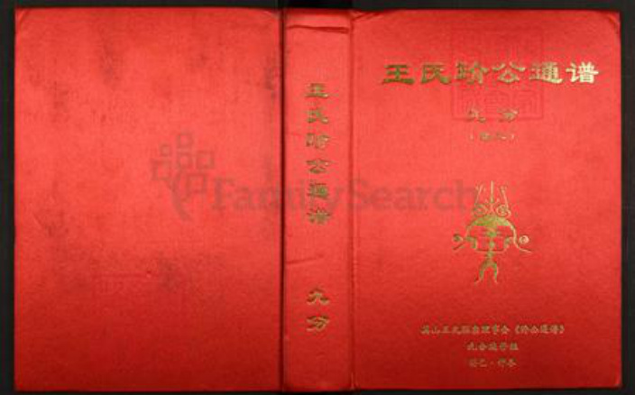 湖北省黄冈市英山县王氏族谱-王氏玠公通谱.九分.pdf电子版插图