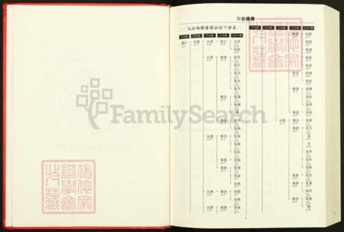 湖北省黄冈市英山县王氏族谱-王氏玠公通谱.九分.pdf电子版插图4