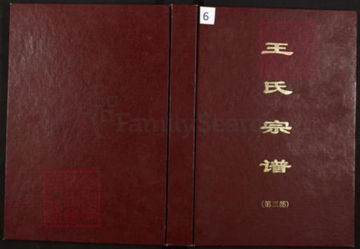 重庆市璧山区河边镇王氏族谱-王氏宗谱.pdf电子版插图