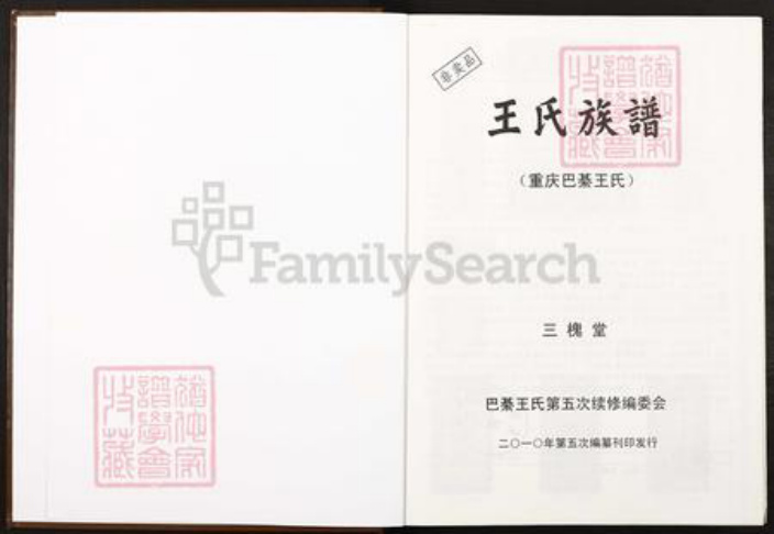 重庆市巴南区巴县安澜镇王氏三槐堂族谱-王氏族谱.重庆巴綦王氏.pdf电子版插图2