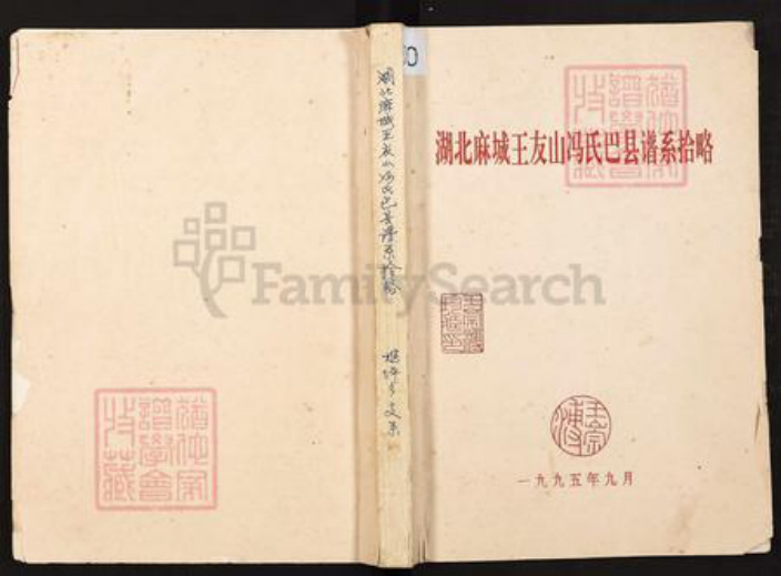 重庆市巴南区王氏族谱-湖北麻城王友山冯氏巴县谱系拾略.pdf电子版插图