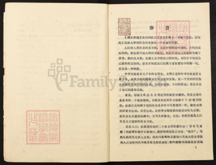 重庆市巴南区王氏族谱-湖北麻城王友山冯氏巴县谱系拾略.pdf电子版插图4