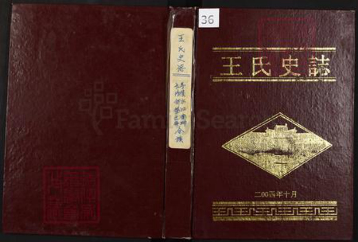 四川省绵阳市涪城区王氏族谱-王氏史志.pdf电子版插图