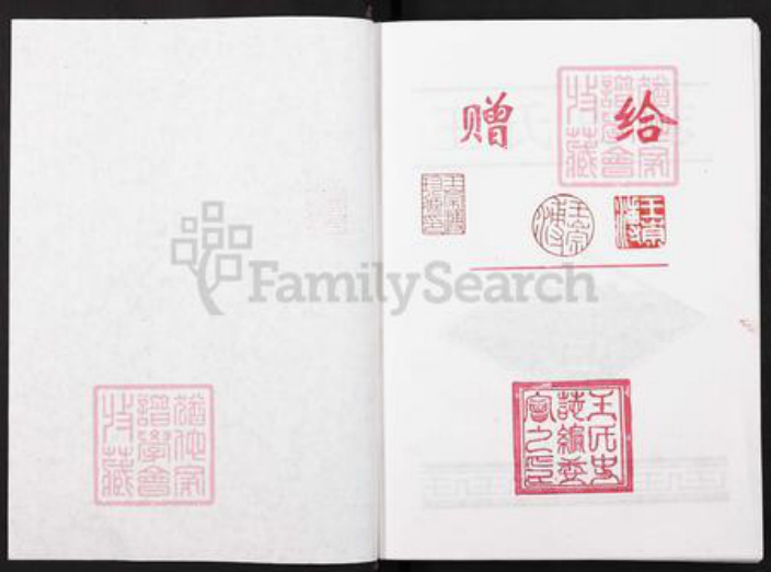四川省绵阳市涪城区王氏族谱-王氏史志.pdf电子版插图1