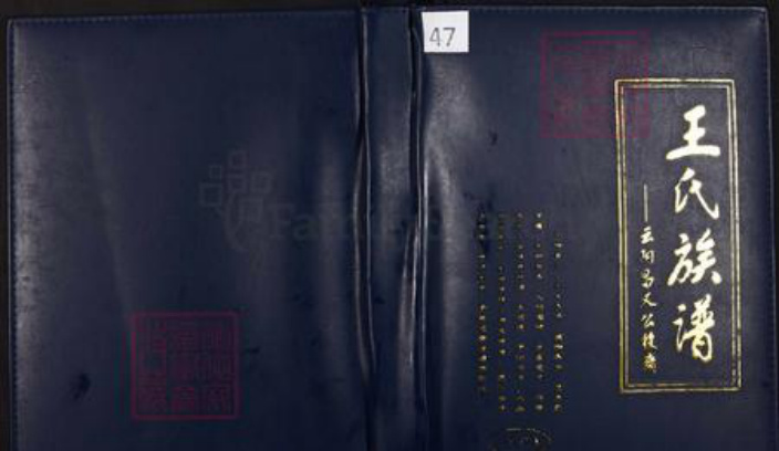 重庆市云阳县南溪镇王氏族谱-王氏族谱.pdf电子版插图