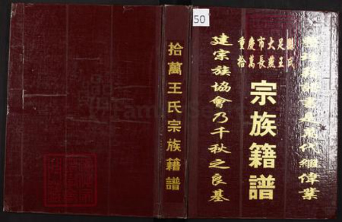 重庆市大足区王氏族谱-重庆大足县拾万长燕王氏宗族籍谱.pdf电子版插图