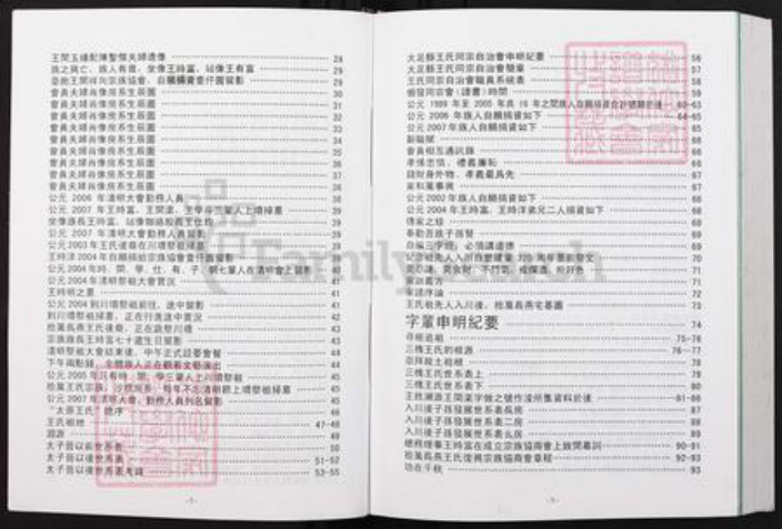 重庆市大足区王氏族谱-重庆大足县拾万长燕王氏宗族籍谱.pdf电子版插图3
