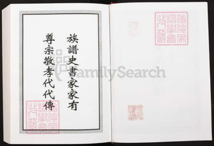 四川省遂宁市安居区会龙镇王氏族谱-大钟坪王氏族谱.pdf电子版插图5