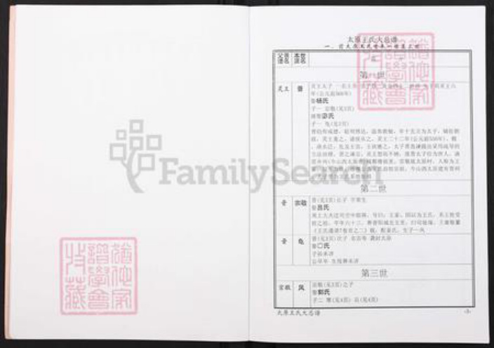 山西省太原市王氏族谱-太原王氏大总谱.pdf电子版插图3