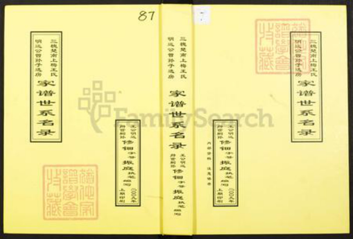湖南省娄底市新化县王氏族谱-三槐楚南上梅王氏.明远公曾孙子选房.家谱世系名录.pdf电子版插图