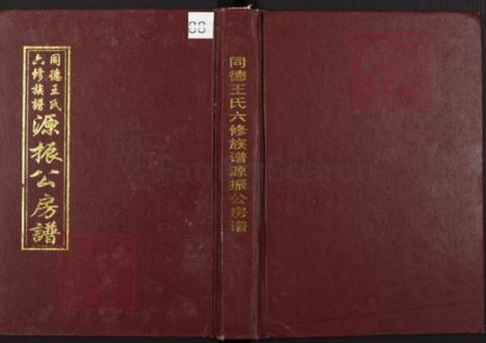 湖南省湘潭市湘乡市潭市镇王氏敦伦堂族谱-同德王氏六修族谱源振公房谱.pdf电子版插图
