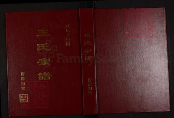 重庆市武隆区江口镇王氏族谱-王氏宗谱.pdf电子版插图