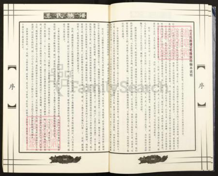 山西省晋中市灵石县静升镇王氏族谱-王氏族谱.pdf电子版插图5