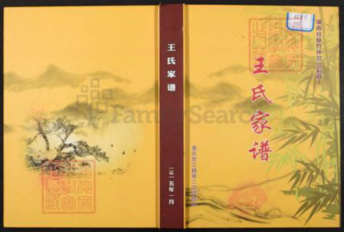 重庆市垫江县周嘉镇王氏族谱-王氏家谱.pdf电子版插图