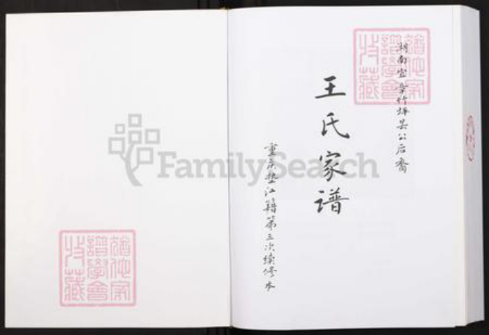 重庆市垫江县周嘉镇王氏族谱-王氏家谱.pdf电子版插图1