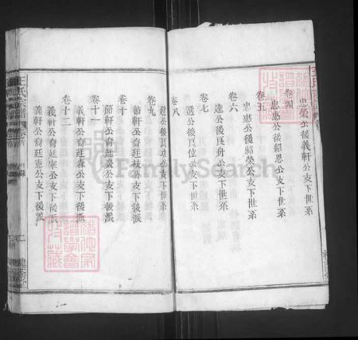安徽省安庆市太湖县晋熙镇王氏槐荫堂族谱-王氏宗谱.pdf电子版插图2