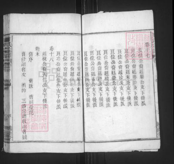 安徽省安庆市太湖县晋熙镇王氏槐荫堂族谱-王氏宗谱.pdf电子版插图4