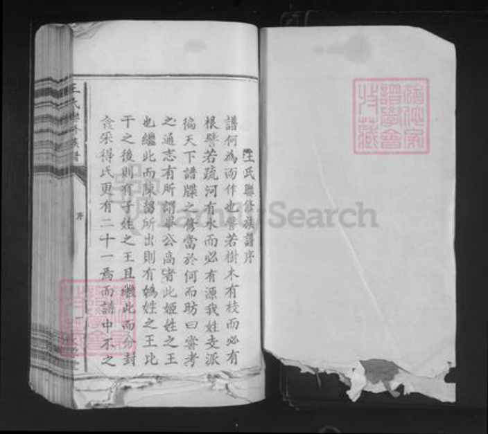 江西省王氏太原堂族谱-王氏联修族谱.pdf电子版插图1